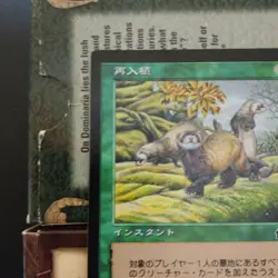 Mgt Re-Settlement Japanese Instant Foil Card Kira Stamping Premium - Image 3