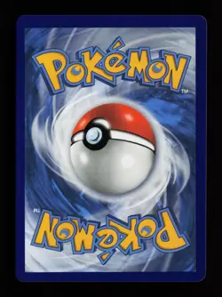 Cinderace VMAX 019/072 Holo VMAX Rare Shining Fates Pokemon Cards - Image 2