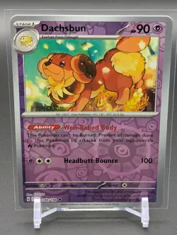 DACHSBUN 099/198 - Pokemon Scarlet & Violet UC Reverse Holo NM - - Image 1
