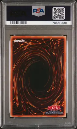 Yu-Gi-Oh Blue-Eyes White Dragon EX-49 EX-R Starter Box - Image 2
