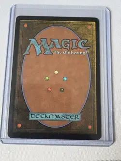Adarkar Wastes - MTG - 9th Edition - 9ED - LP - Image 2