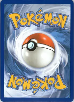 Shuckle 136/132 Illustration Rare Mega Evolution Holo NM - Image 2