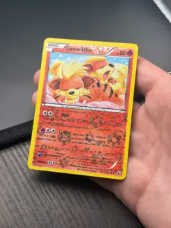 Growlithe RC4/RC25 Holo Legendary Treasures: Radiant Collection Pokemon LP - Image 3