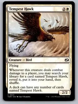 Tempest Hawk 31 Common Tarkir: Dragonstorm Magic: The Gathering Near Mint - Image 1