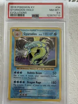 Pokemon TCG XY Evolutions 2016 Gyarados PSA 8.5 - Image 1