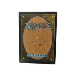 Tangle The List Reprints Regular - Image 2