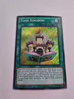 Yugioh Toon Kingdom 1st Edition Secret Rare DRL2-EN023 NM - Image 1