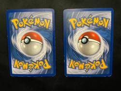 Uncommon Holo Card Lot Pokemon TCG Riolu Vigoroth Lightly Played - Image 2