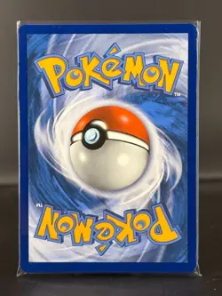 Pikachu - 19/68 - Non-Holo - Hidden Fates - NM/M - Pokemon Card - Image 2