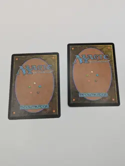 Mtg Unhinged Plains X2 LP - Image 3