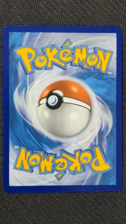 Hop 073/073 Holo Champion's Path Pokemon NM - Image 2