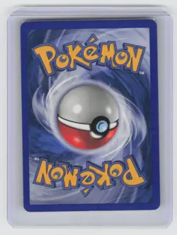Suicune 53 Promo Wizards Black Star Promos Pokemon NM - Image 2