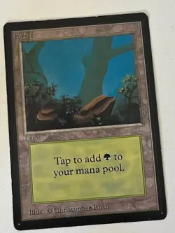 Magic the Gathering MTG Beta Forest v.2 (FOG) MP (Beta Bob) - Image 1