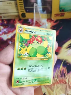 Pokemon Karte Card Blubella Bellossom Promo Informations Pack Wotc japanese Exc - Image 2