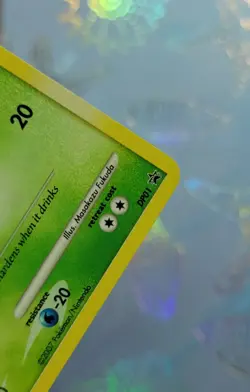 2007 Turtwig DP01 Holo Diamond & Pearl Promo w/ Swirl! LP - Image 5