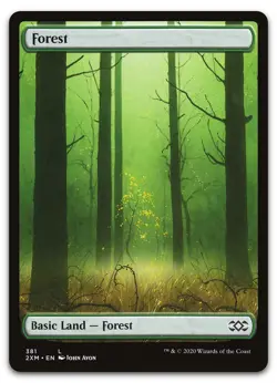 Forest (381) #381 (NM) Double Masters 2XM Magic MTG - Image 1