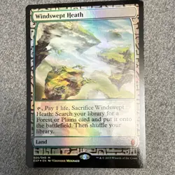Wizards of the Coast MTG Windswept Heath 020/045 Zendikar Exp Foil Full Art ENG - Image 1