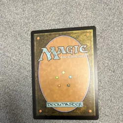 Wizards of the Coast MTG Windswept Heath 020/045 Zendikar Exp Foil Full Art ENG - Image 2