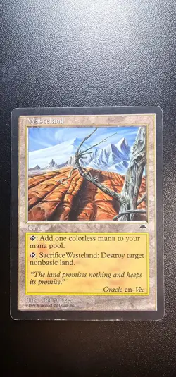 Wasteland x 4 - MTG Tempest - MP+/MP - Magic the Gathering - Image 4