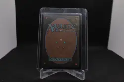 Magic the Gathering: Dawn Warriors Legacy Magic the Gathering NM - Image 2
