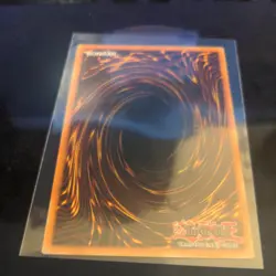 Relinquished Anima QCR MP24-EN007 25th Anniversary Tin: Dueling Mirrors Yugioh - Image 3