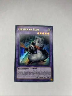 Yu Gi Oh Master of Ham (MP25-EN161) 1st Edition (NM) - Image 1