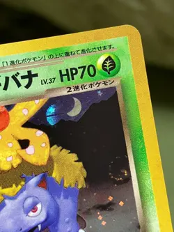 SWIRL & POKEBALL! Pokemon Card Dark Venusaur 003 Trainer Magazine Vol.10 Promo - Image 2
