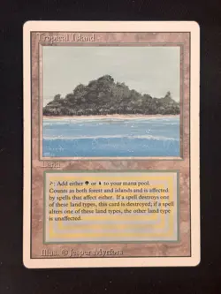 Tropical Island MTG - Image 1