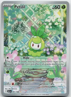 Petilil 091/086 Holo Illustration Rare Black Bolt Pokemon Holo Near Mint - Image 1