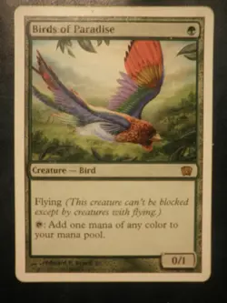 mtg magic birds of paradise 8 th e edition edition ENGLISH oiseaux de paradis - Image 1