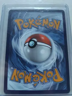 Pokemon 2024 Illustration Contest Promo Cards Feraligatr, Pikachu, Toxtricity EX - Image 5
