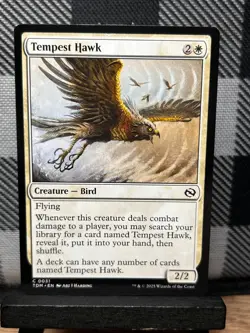 MTG TCG: Tempest Hawk 31, Tarkir: Dragonstorm - Image 1