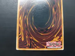 Yugioh - Treeborn Frog DR04-EN145 Ultra Rare - Image 5