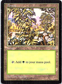 Forest (A) Magic The Gathering Mirage Card Light Play - Image 1