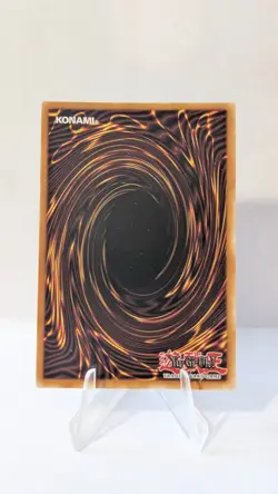 Amazoness Chain Master (2020) - Secret Rare - RP01-EN097 Yu-Gi-Oh - Image 4