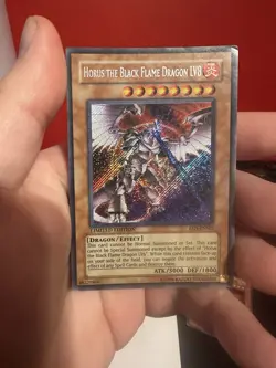 Horus The Black Flame Dragon Lv8 (EEN-ENSE1)(Limited Edition)(Secret Rare)(LP) - Image 1
