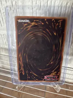 Harpie's Pet Dragon | HP | RP02-EN093 [Reprint] | Unlimited | Yu-Gi-Oh! - Image 2