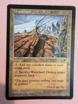 MTG Wasteland Tempest Land - MP + - Image 1