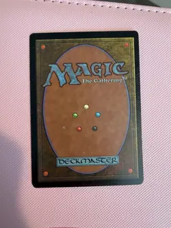 MTG Wasteland Tempest Land - MP + - Image 2