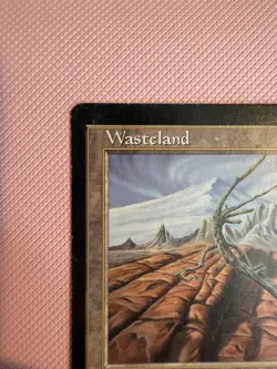 MTG Wasteland Tempest Land - MP + - Image 3