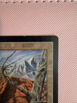 MTG Wasteland Tempest Land - MP + - Image 4