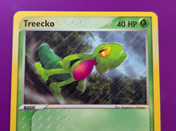 NM Treecko 016 Black Star Promo Pokemon Card NM 2004 nintendo - Image 3