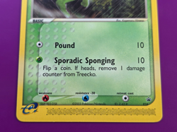 NM Treecko 016 Black Star Promo Pokemon Card NM 2004 nintendo - Image 4