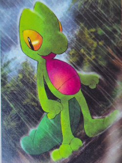 NM Treecko 016 Black Star Promo Pokemon Card NM 2004 nintendo - Image 5