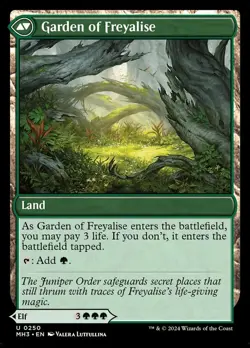 Disciple of Freyalise Dual Face #250 (NM) - MTG - Modern Horizons 3 Magic - Image 2