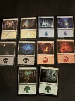 MTG - Duskmourn - Basic FOIL land lot. lot of 10 - Image 1