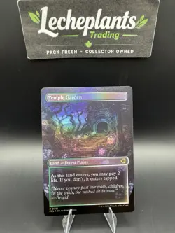 Temple Garden (Borderless) Lorwyn Eclipsed Foil - Image 2