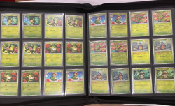 Black Bolt | White Flare - Complete Poke & Master Ball, Rev. C, UC & R Card Set - Image 2