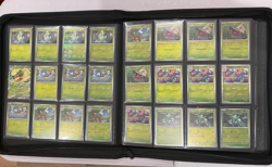 Black Bolt | White Flare - Complete Poke & Master Ball, Rev. C, UC & R Card Set - Image 4