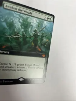Awaken The Woods Extended Art Nonfoil Card #344 MTG LP - Image 2